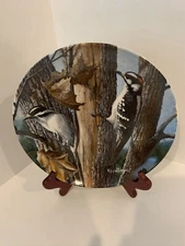 THE DOWNY WOODPECKER Birds of your Garden Knowles Collection Plate