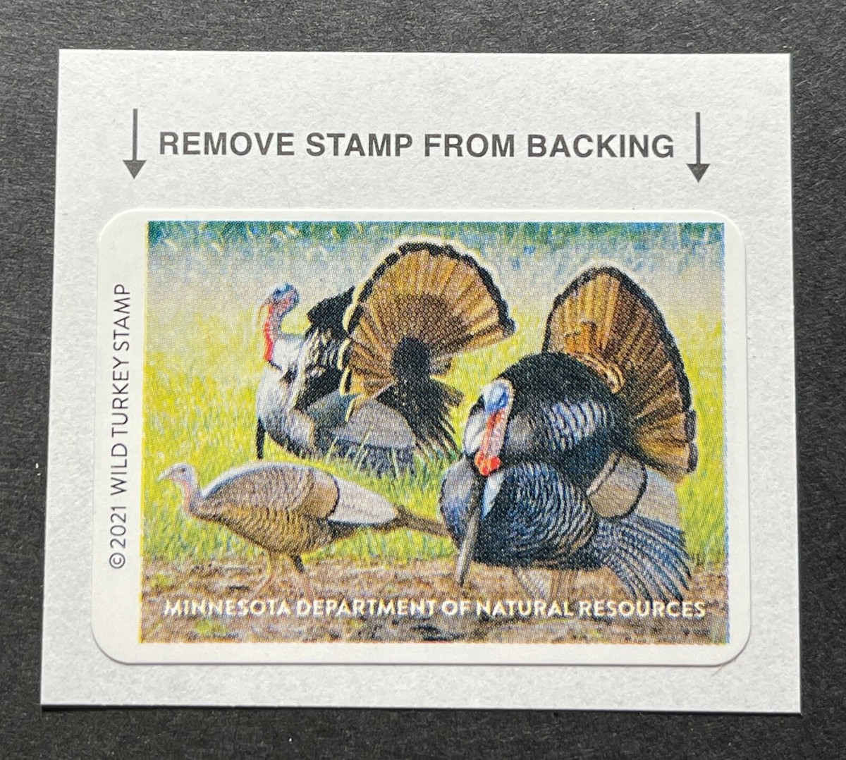 WTDstamps - 2021 MINNESOTA - State Turkey Upland Bird Stamp - Mint