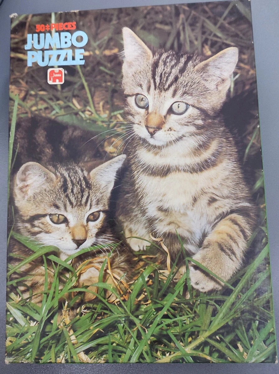 Puzzle Da 1000 Pezzi Schmidt Di Dominic Davison: Giardino Del Castello 59590 0