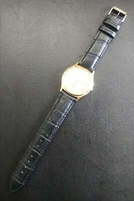 Unisex Adult Wristwatch Citizen Exceed GN-8-S Quartz Leather Belt