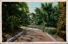Palm Knoll Canyyon Crest Park Redlands California Postcard  B268