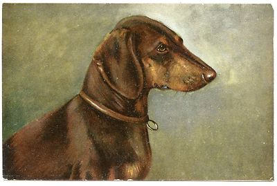  DOG DACHSHUND ROOF DOG . PORTRAIT