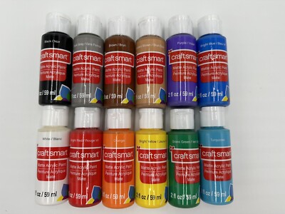 Craft Smart Acrylic Paint Value Set 12 Pack 2 Fl Oz Basic Primary Colors