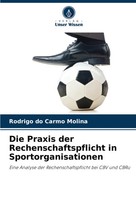 Rodrigo Do Carmo Molina | Die Praxis Der Rechenschaftspflicht In...