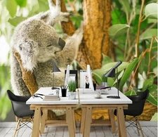 3D Koala Leaf ZHU261 Animal Wallpaper Wall Mural Removable Self-adhesive Zoe