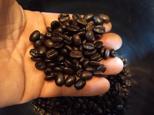 1 pcs  K- Cup Luwak Coffee. Arabica. Perfect  For Gifts - Picture 3 of 4