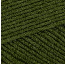 Elysian Yarn by Cascade Cedar Green 58