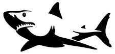 Great White Shark Vinyl Decal, Bumper Sticker, JDM, Car, Windows, Outdoors, ect.