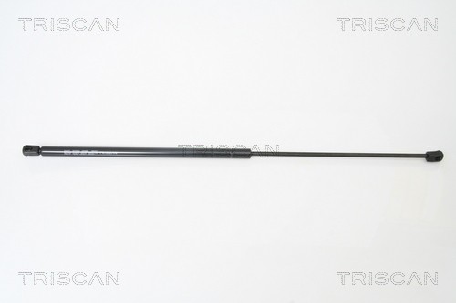 Gasfeder Motorhaube DÄMpfer FÜR Audi A6 C6 Avant (4F5) - Triscan 8710 29120-image