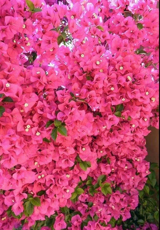 Foto 1 di 1