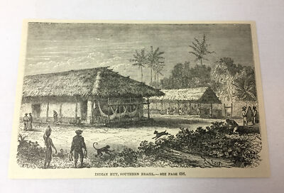 1885 magazine engraving ~ INDIAN HUT, SOUTHERN BRAZIL