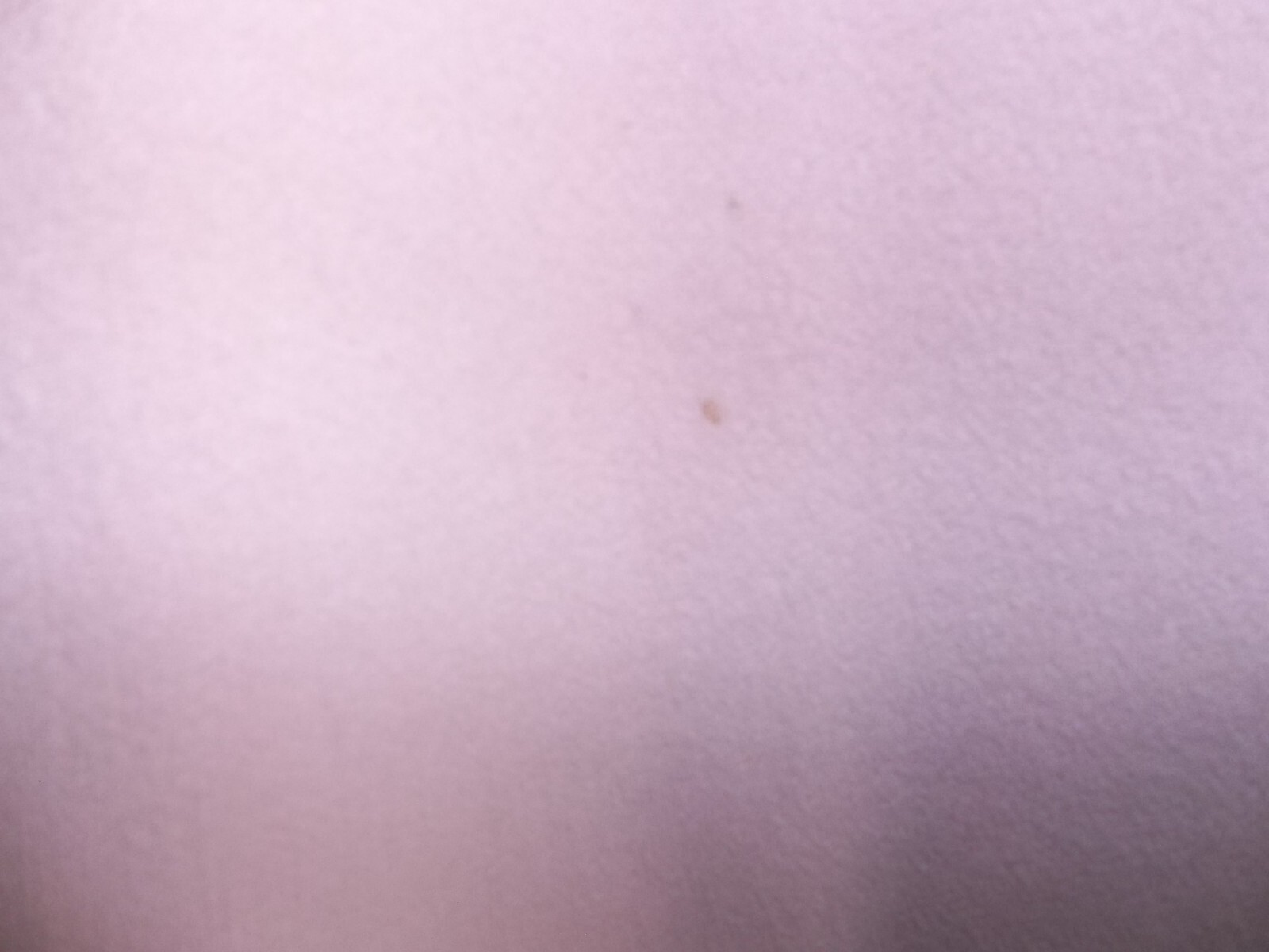 Picture 6 of 6