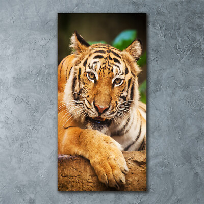 Wandbild Kunst-Druck auf Hart-Glas hochkant 60x120 Bengalischer Tiger