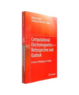 Computational Electromagnetics¿Retrospective and Outlook: In Honor of Wolfgang 