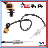 Sonde Temperatur Auspuff Catlyseur FüR Espace 4 Laguna 2 Vel Satis 2.2 DCI