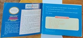 USED AUTHENTIC MANUAL ONLY - NO GAME NO BOX - FLYING DRAGON  NES