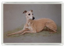 WHIPPET DOG FRIDGE MAGNET GREAT GIFT