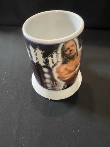 2001 Danbury Mint WWF Collector Stein, HHH Triple H Mug! See Pics!