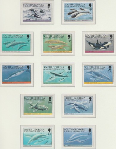 Islas Georgia Del Sur Y Sandwich Conjuntos Sin Montar MNH 1989-2010 - Imagen 2 de 51