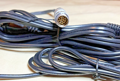 Krv品 L】【ウォッシャブル】タイガーパッチTシャツ(トップス)｜EVEX