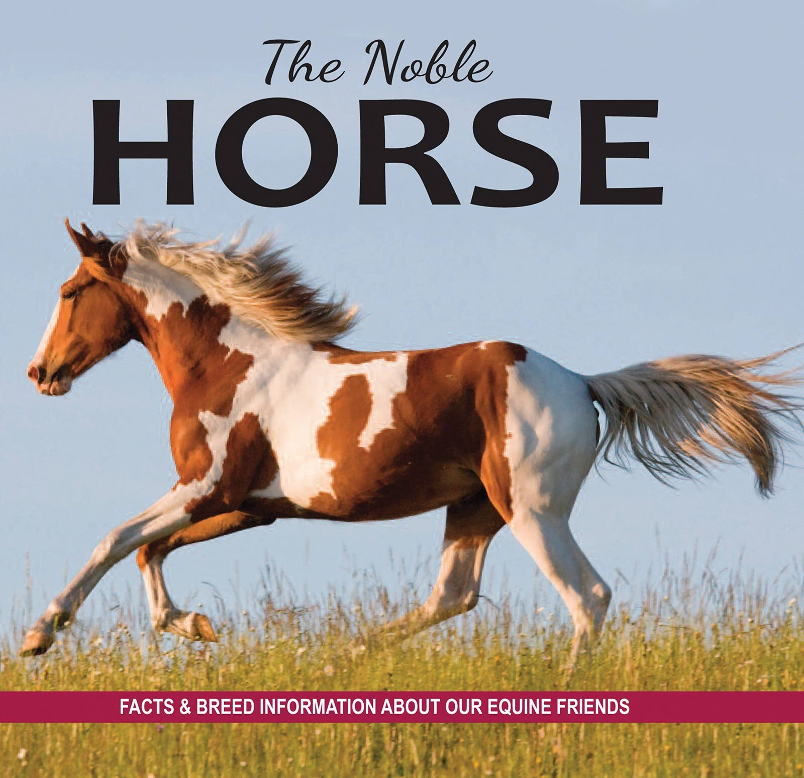 The Noble Horse: Facts and breed information on our equine friends Book, New