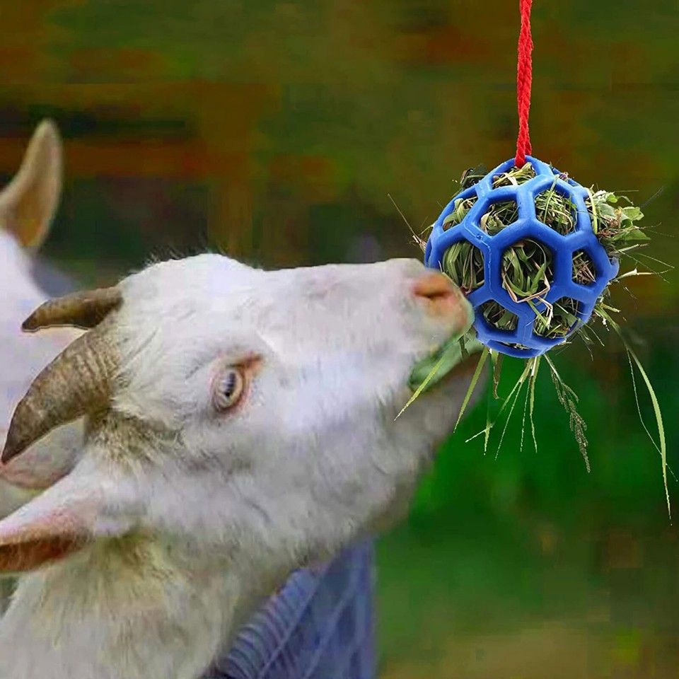 Horse Treat Ball Feeder Toy Hay Ball Hanging Feeding Toy for Horse
