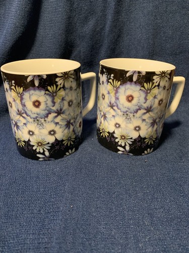 Barnes And Noble Mugs, Set Of Two 2006 Blue And White With Floral Design - Picture 3 of 7