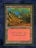 MOUNTAIN (C)  1993 COLLECTOR'S EDITION  Magic the Gathering Unplayed   NM