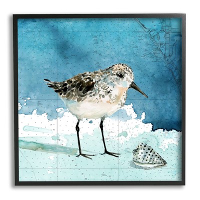 Sandpiper Bird and Shell Nautical Ocean Map, Designed by Carol Robinson Black...