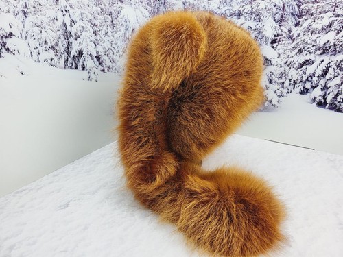 Cappello animale invernale vera pelliccia di volpe rossa cappuccio sciarpa lunga Ushanka orecchie patta unisex - Foto 4 di 11