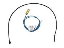 Raypak  (010787F) Water Temperature Sensor 10K