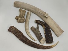 Lot Of Just Over 4 Pounds Of Deer/Elk Antler Tips  Pieces