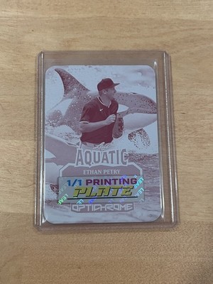 Ethan Petry 2025 Leaf Optichrome Baseball 1/1 Printing Plate