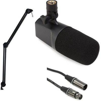 sE Electronics DCM6 DynaCaster Broadcast Dynamic Microphone Stand Bundle
