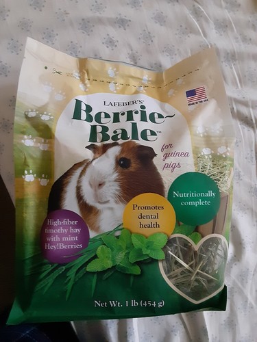 Photo inspiration: Fresh Look at Berrie Bale Mint For Guinea Pigs 1 Lb Expires 4