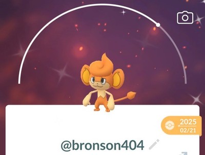 Pokemon Shiny Pansear TR--ADE G0 Unregistered