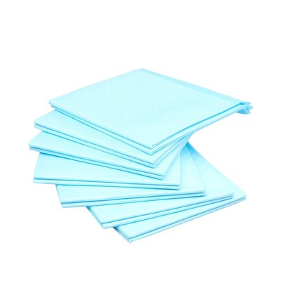  100 PCS Super Absorbent Antibakterielles Deodorant Puppy Pads Pet Training