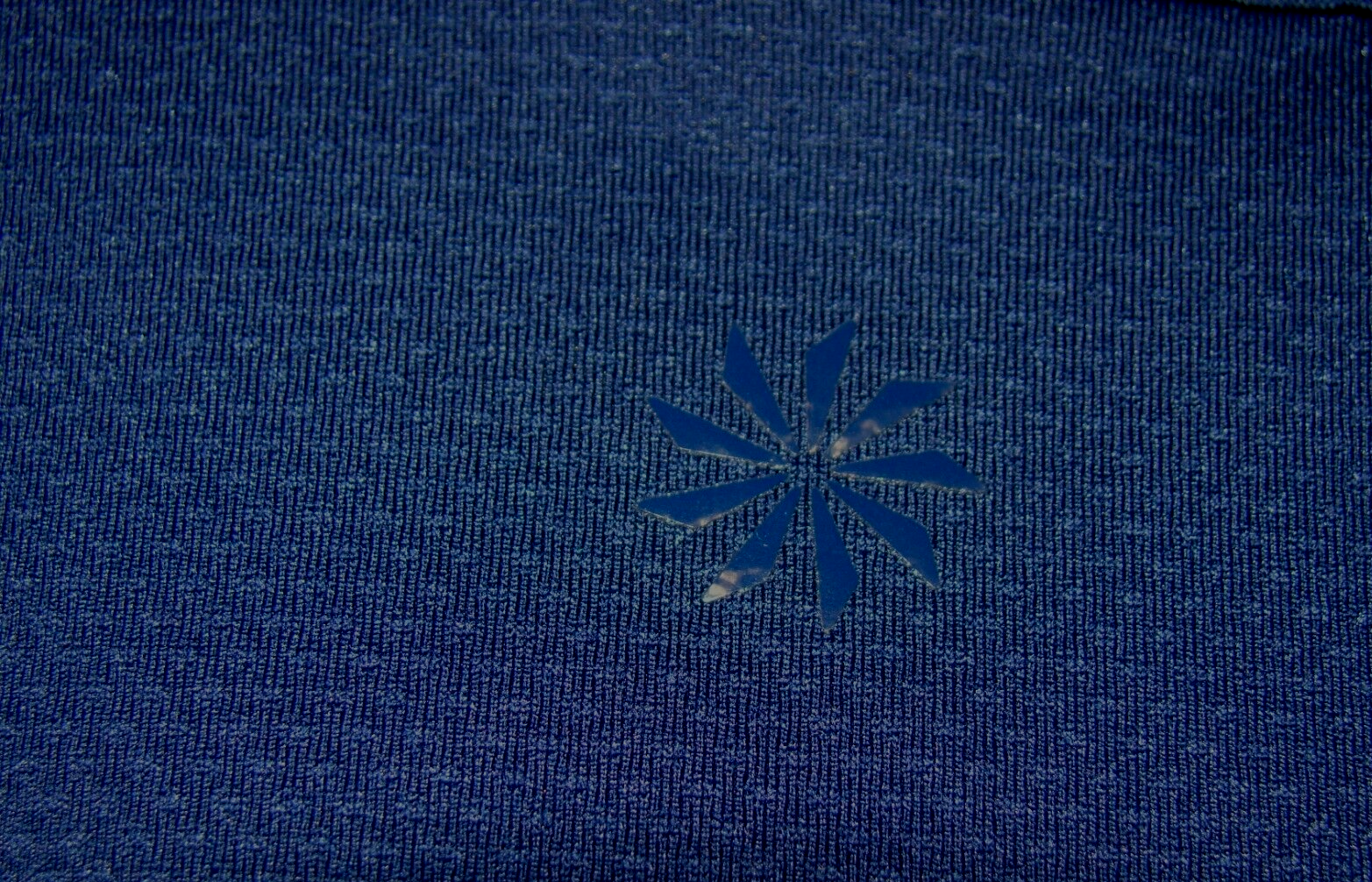 Picture 6 of 6