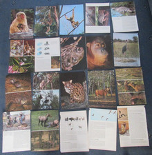 Junk journal Scrapbooking Mixed media ephemera craft collage animals wildlife