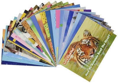 LET'S FIND OUT: MY REBUS READERS SINGLE-COPY SET: BOX 2 Scholastic Teaching Reso