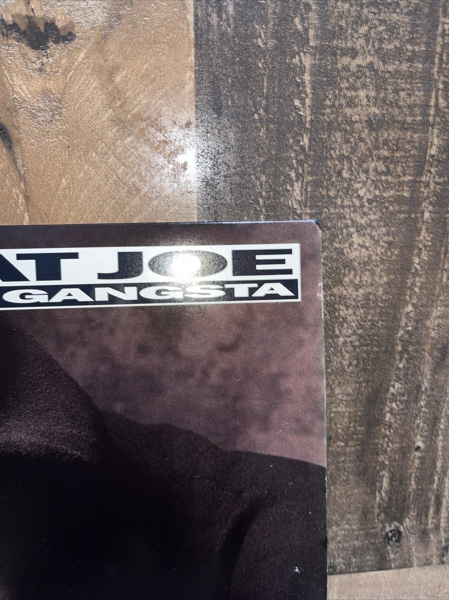 Fat Joe - The Shit Is Real [88561-1214-1] 12