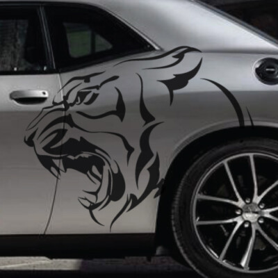 Negozio On Line Di Adesivi Specifici Per Jaguar - Foto 6