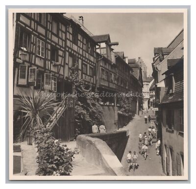 Meersburg am Bodensee 1954 - Business Bürkle Ströbele - Old Photo 1950s