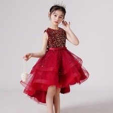 Sequin Tulle Dress for Girls   Birthday Party  Special Occasion Princess dress