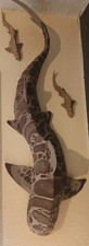 Leapord Shark & Babies Painted Stunning Detail Paper Mache Handmade Wall Decor