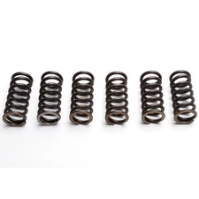 EBC Clutch Spring Set (6 PCS) Suzuki GSF 650 AK Bandit 2007 - 2012