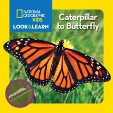 National Geographic Kids Look and Learn: Caterpillar to Butterfly (L - VERY GOOD