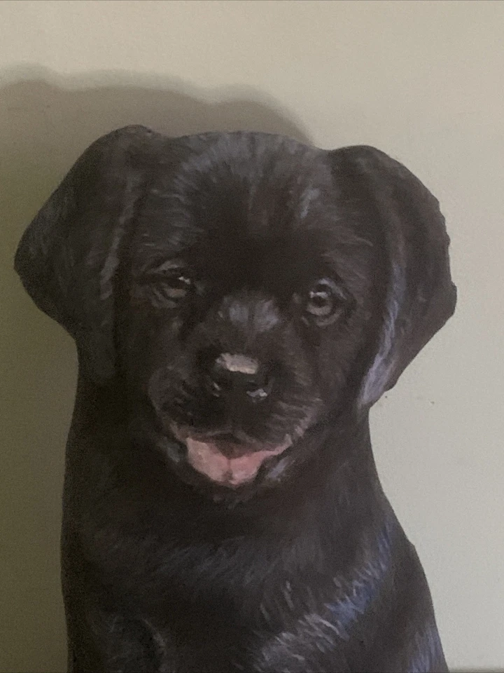 Almohada de tope de puerta de perro labrador negra decoración Amy Brackenbury codo de violinista de colección Foto 2 de 4