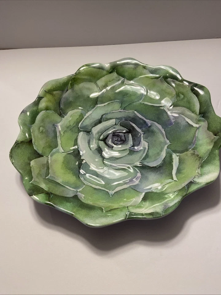 Nicole Miller Juego de Platos Suculentos Melamina Lote de 4 Platos y 4 Cuencos Texturizados Foto 4 de 4