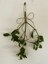 Fresh Mistletoe Twine Bow Christmas Decor Wall Hanger Kiss Me Gift Merry 9"